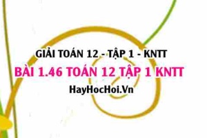 Giải 1.46 Toán 12 tập 1 SGK Kết nối tri thức